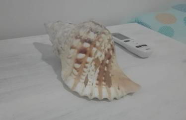 Sa Cala Beach House - Foto 23