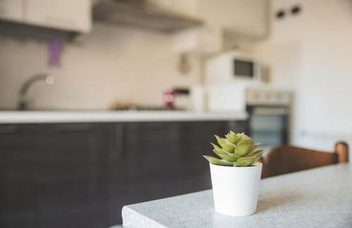 La Casa Del Conte - Foto 1