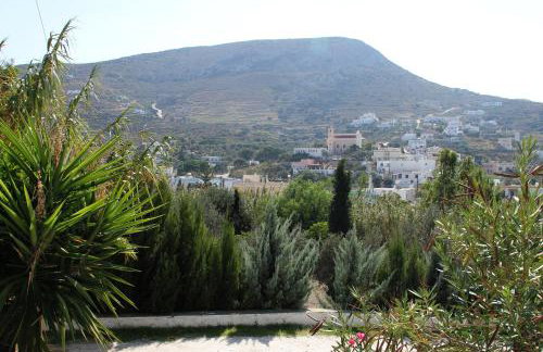 Argo-studios - Foto 49