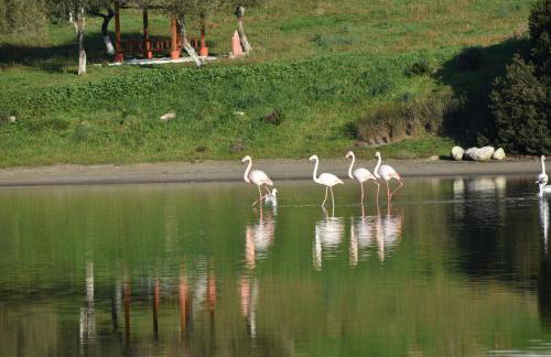 Mamadinas House AlliMpanta - Photo 19