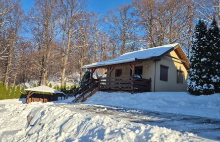 Domek w Karkonoszach 1 pod Karpaczem - Foto 15