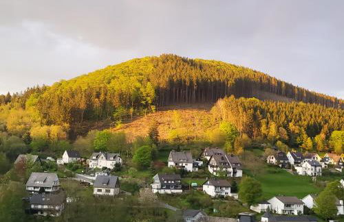 Panoramablick Winterberg - 3 Zimmer - Photo 2