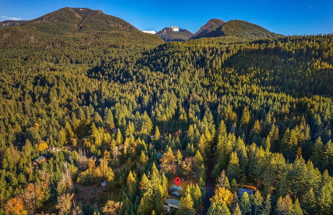 Fir Tree Cabin in Packwood - Foto 23