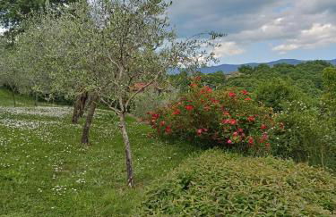 Torre del Drago - Foto 50