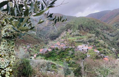 Canastro Nature Spot - Foto 51