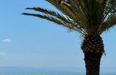 THEOHARIS SUMMERHOUSE - Foto 34