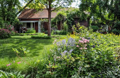 Ferienhaus Burgblick - Photo 5