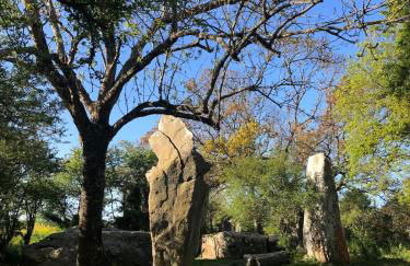 L'océan à la campagne - Foto 12