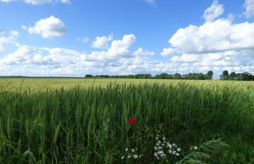 Ferienhaus-Natur-Erholung-Pur-Mecklenburgische-Seenplatte-zwischen-Mueritz-und-Ostsee - Foto 27