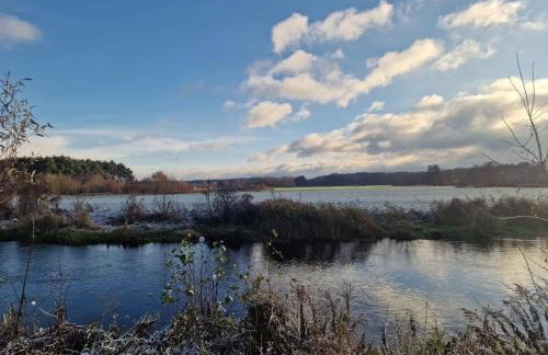 "Jabłonie i grusze" Nice home in a big garden with sauna and wifi - Foto 31