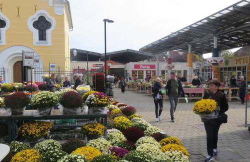 OAK COTTAGE - Foto 28