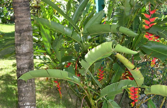 Villa, 4 Bedrooms, Private Pool, Tropical Garden, Ocean View - Photo 34