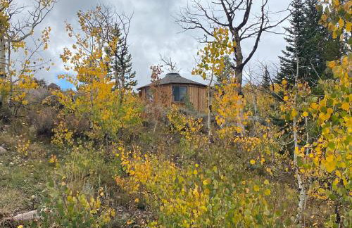 Red-tail Roundhouse at 22 West Cabins and Recreation - Foto 43