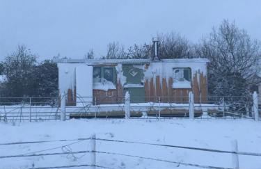 Willowbank shepherds hut - Foto 39