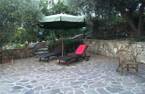 Poggio Delle Palme - Foto 15