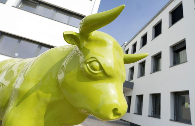 BONNOX Boardinghouse & Hotel - Foto 44