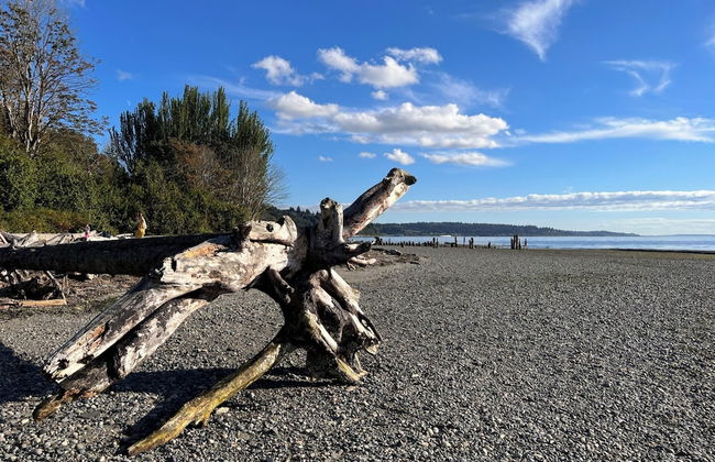 Stunning House with Views of Puget Sound Ideal for Family Reunions - Foto 52