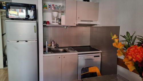 Agréable appartement de 6 pers au pieds des pistes ,wifi gratuit à Saint-Sorlin-d'Arves labelise 3 étoiles au gîte de France - Foto 3, dishwasher, pet friendly