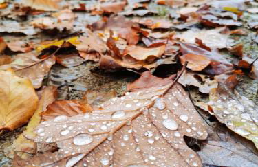 Ferienwohnung Löwenstern Niederstetten - Foto 34