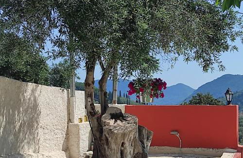 Stella Rossa - Foto 49