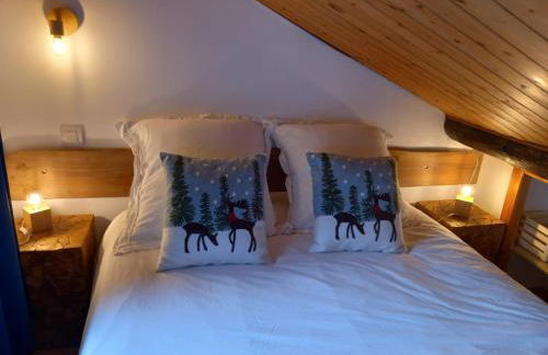 Chalet de montagne au cœur de Doucy - Foto 24