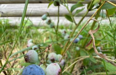 BERG WELT im Erzgebirge - Photo 61