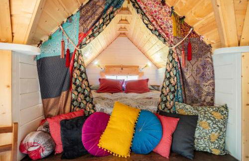 Ophrys ha Melenig - Foto 6