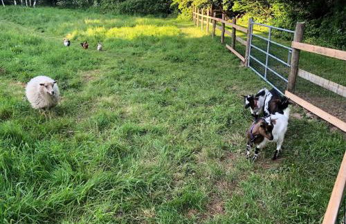 Chez colette - Foto 14