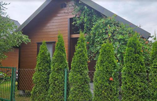 Domek KLIMATYZOWANY parterowy - Domki u Staszka - Foto 3