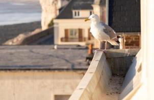 Le COURLIS vue panoramique sur la mer, balcons - Foto 30