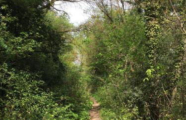 Cosy Lagune - Photo 65