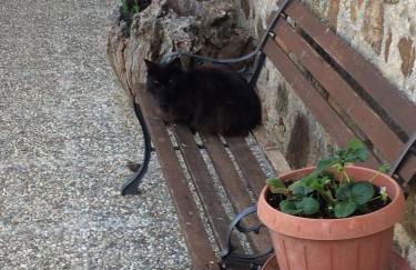 Casetta Tartuchino - Foto 47