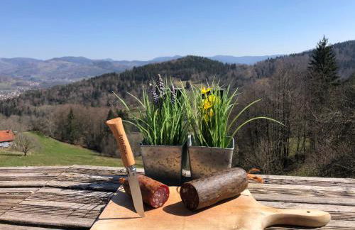 Gîte du dahu barbu - Foto 7