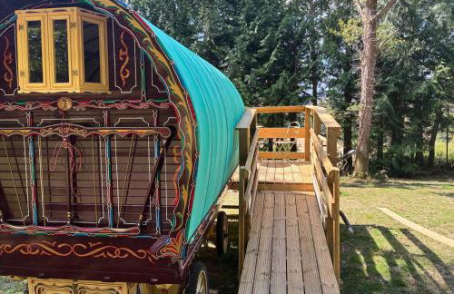 2 Guests - Pet Friendly - Traditional Gypsy Vardo - Foto 23