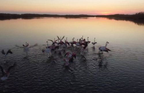 Roquetas Costa - Foto 40