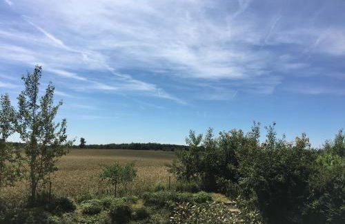 Schleiglück - Photo 2