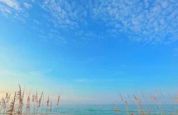 La Conchiglia sul Mare - Foto 69