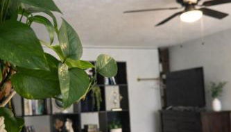 The Quiet Garden Studio - Decatur- Free Parking - Foto 3