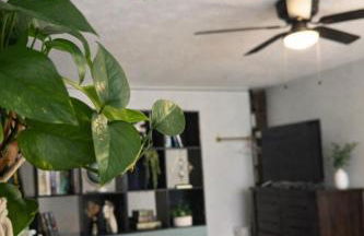 The Quiet Garden Studio - Decatur- Free Parking - Foto 3