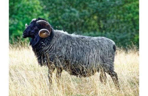 Amazing Holiday Home Near the Lake - Foto 58