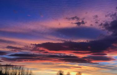 Unbox at Poplar Tree - Photo 79