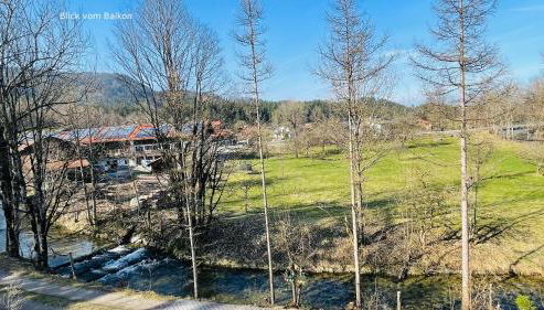 Bamberger Monika - Foto 2