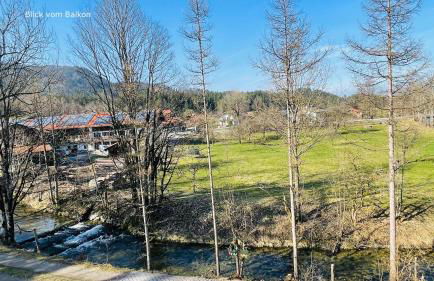 Bamberger Monika - Foto 2