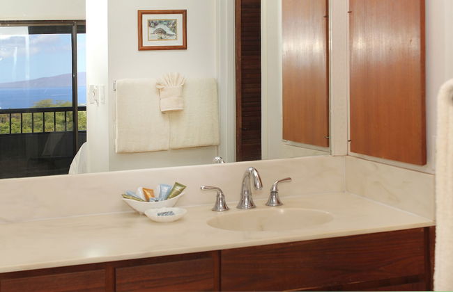 Wailea Ekolu - CoralTree Residence Collection - Photo 49