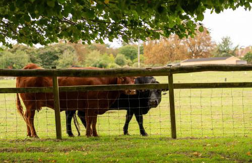 Family Cotswolds Cottage Farm Stay - The Smythy - Foto 3