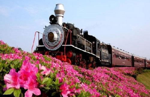 Casa das Palmeiras + Quiosque - Foto 64