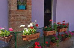 Propolis house - Foto 66