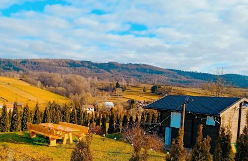 Bieszczadzkie Wzgórze Saunowe- Jacuzzi i Sauna w cenie pobytu - Foto 37