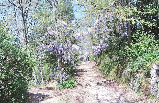 Villa Montecasciano - 8 Sleeps Private Garden - Foto 65