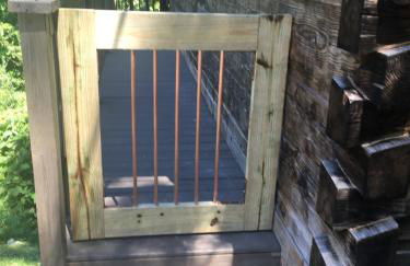 Bears Among Us - Foto 21